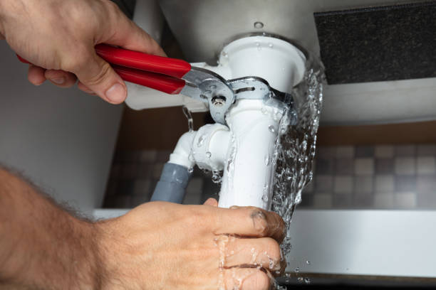Best Water damage cleanup near me  in Overlea, MD