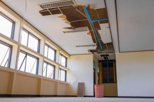 Best Mold removal after water damage  in Overlea, MD