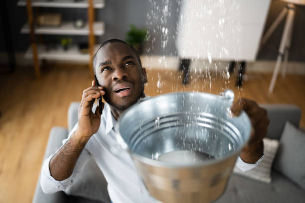 Best Water damage restoration near me  in Overlea, MD