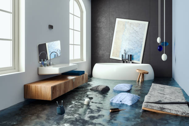 Best 24/7 water damage repair  in Overlea, MD