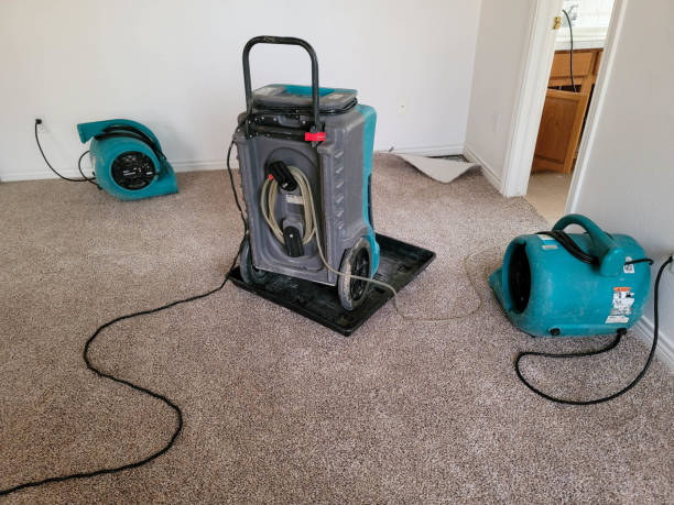  Overlea, MD Water damage restoration Pros