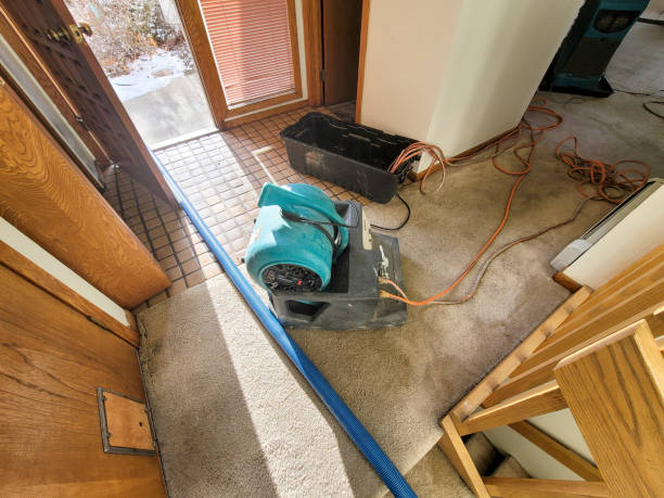 Best 24-hour water damage restoration  in Overlea, MD