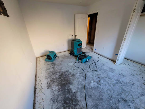 Best Carpet water damage restoration  in Overlea, MD