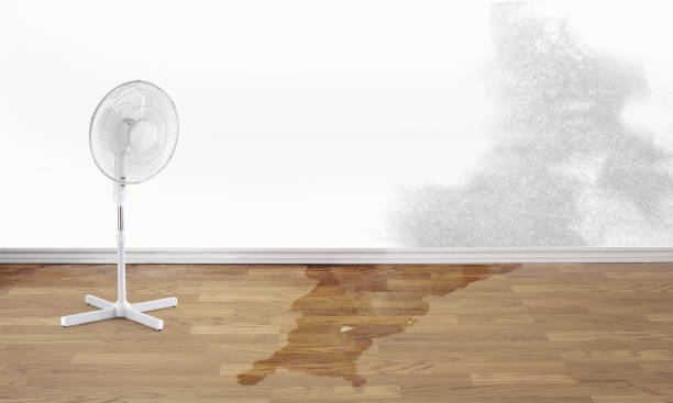 Best Flooded house restoration  in Overlea, MD