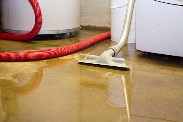 Best Residential water damage restoration  in Overlea, MD