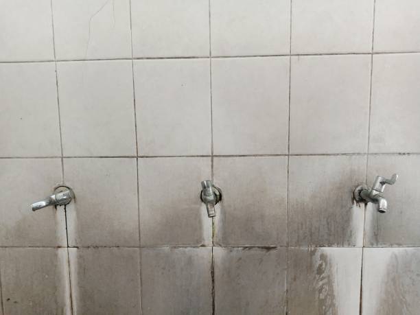 Best Flood restoration services  in Overlea, MD