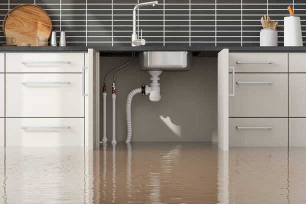 Best Sewage cleanup and water damage restoration  in Overlea, MD