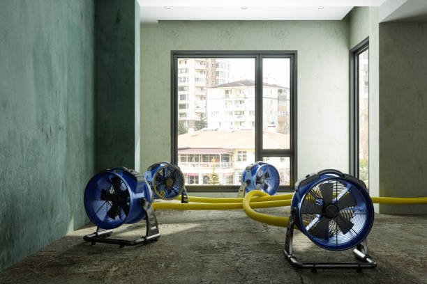 Professional Water damage restoration in Overlea, MD
