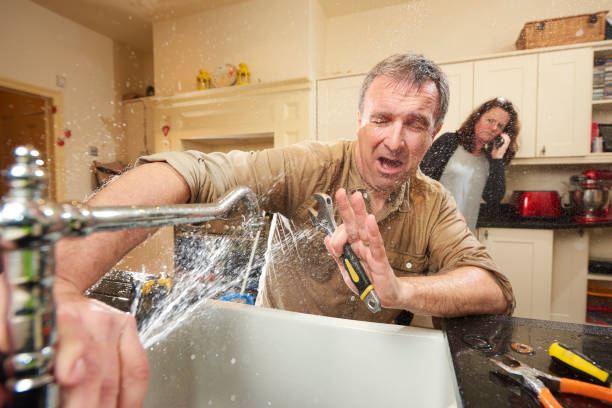 Best Professional water damage repair  in Overlea, MD